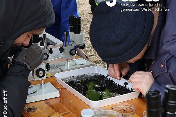 test drölf II Bestimmung mit Binokular